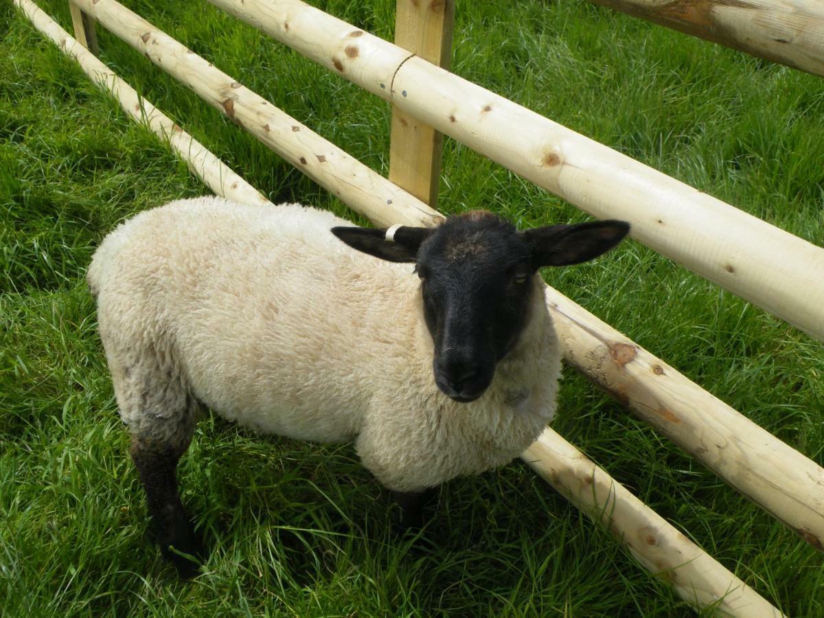 Sharlands Farm Holiday Cottages 布德 外观 照片